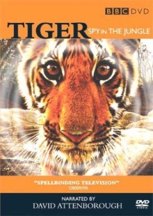 BBC: Тигр – Шпион джунглей.