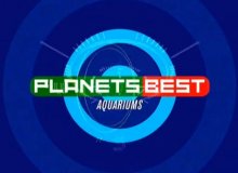 Animal Planet: Лучшее на планете. Лучшие аквариумы земли.